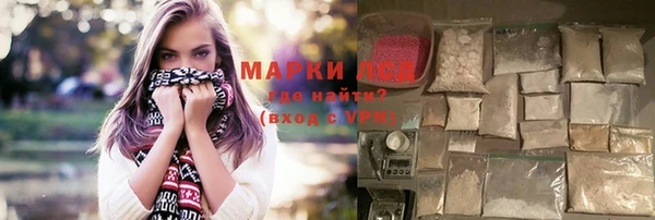 хмурый Магас
