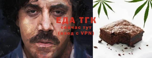 индика Абинск