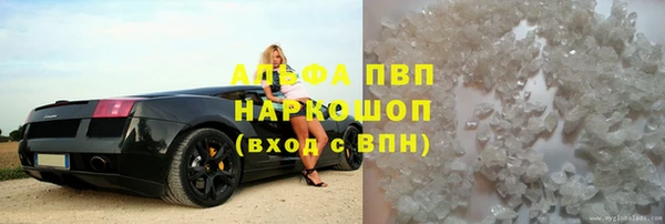 индика Абинск