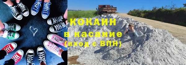 индика Абинск
