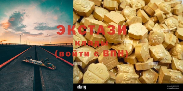 индика Абинск
