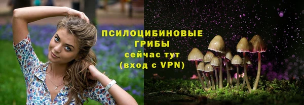 индика Абинск