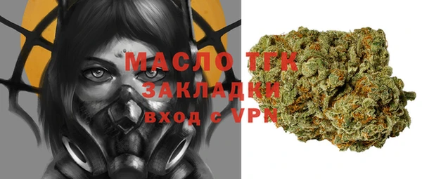 индика Абинск